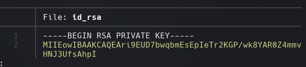 ssh_command.