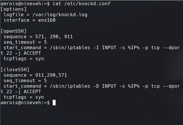 ssh_command.