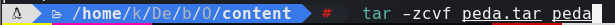 ssh_command.