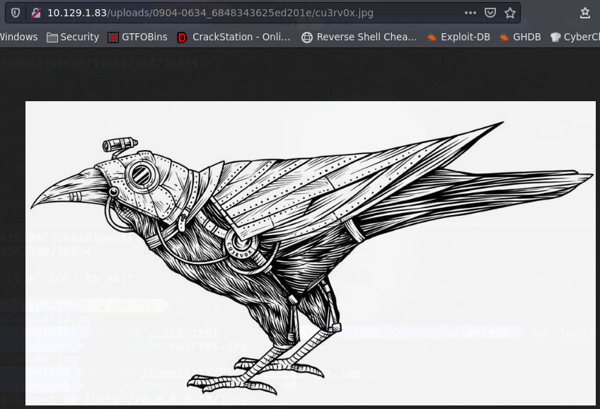 ssh_command.