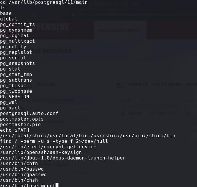 ssh_command.