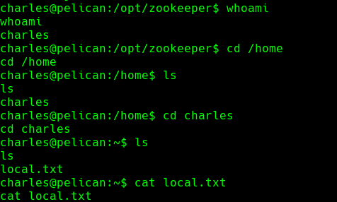ssh_command.