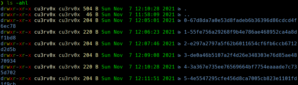 ssh_command.