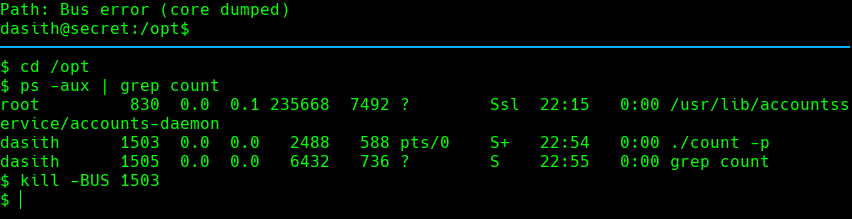 ssh_command.