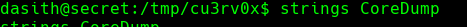 ssh_command.