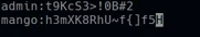 ssh_command.
