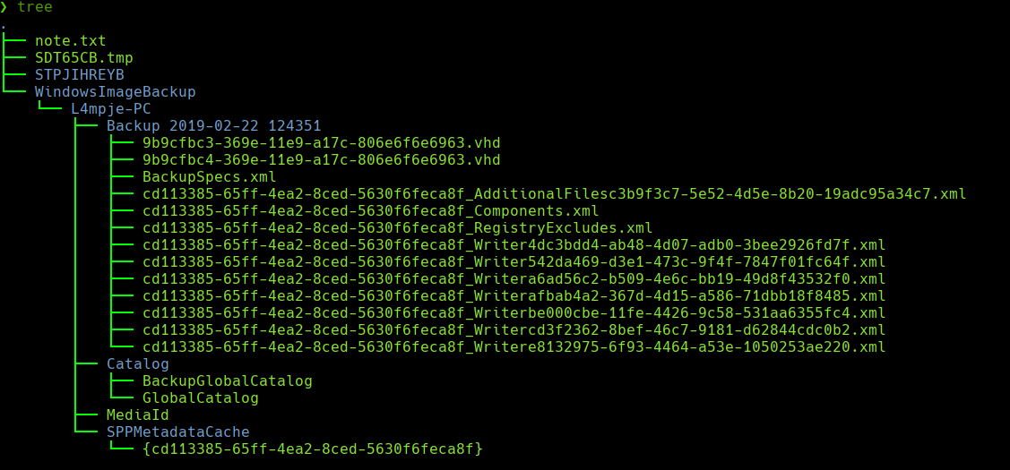 ssh_command.