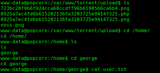 ssh_command.