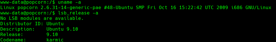 ssh_command.