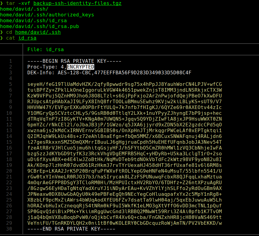ssh_command.