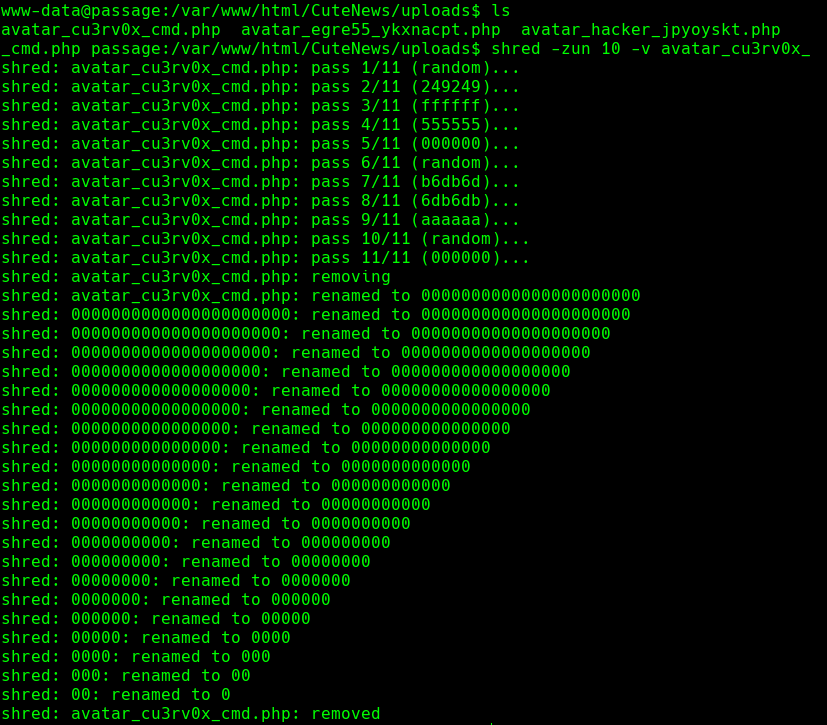 ssh_command.