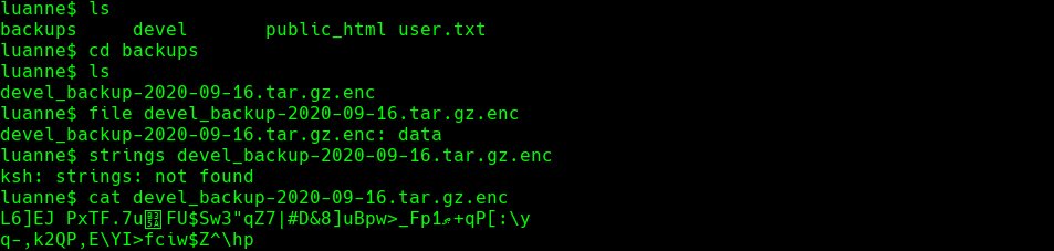 ssh_command.