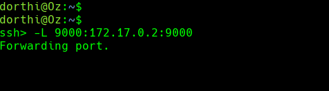 ssh_command.