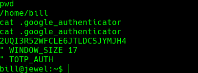 ssh_command.