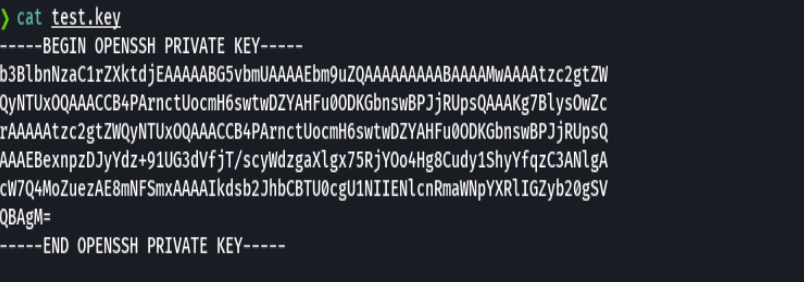 ssh_command.